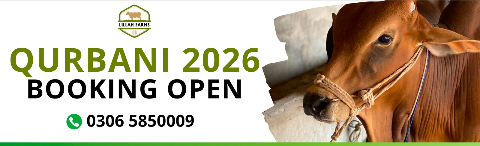 Screenshot 2026-04-02 at 1.41.00 AM